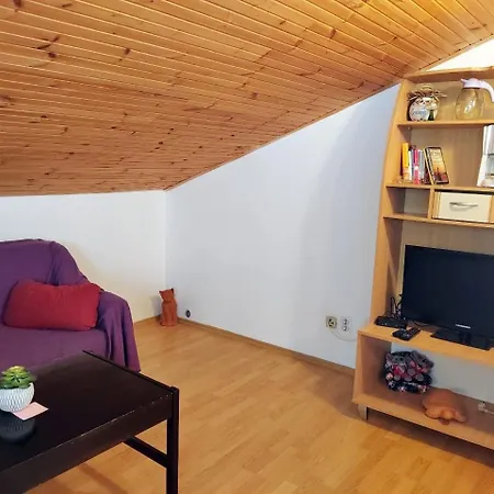 Apartment With Parking Space Barbat - Rab - 22752